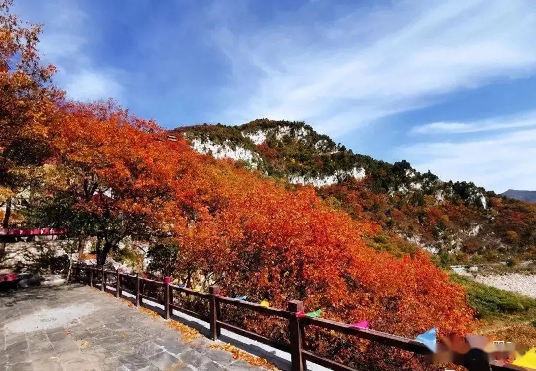 香港富硒八仙茶价格(富硒八仙茶介绍)-硒宝网