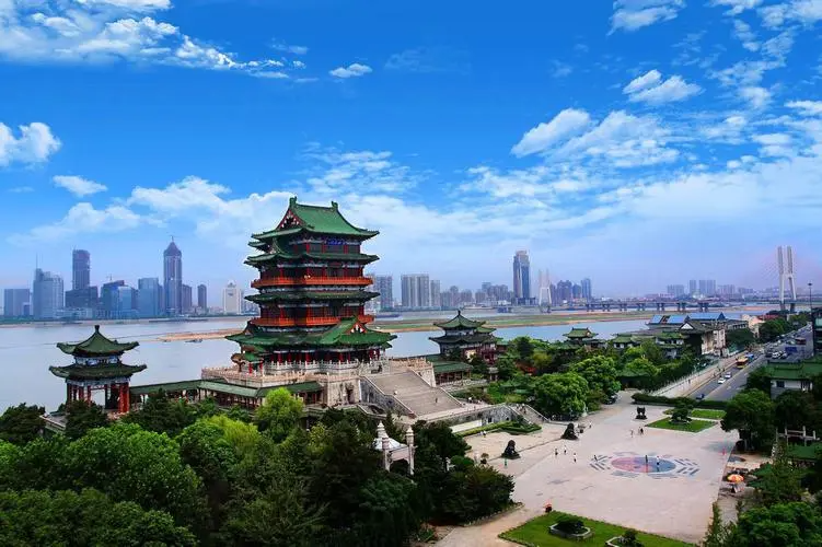 香港富硒八仙茶价格(富硒八仙茶介绍)-硒宝网