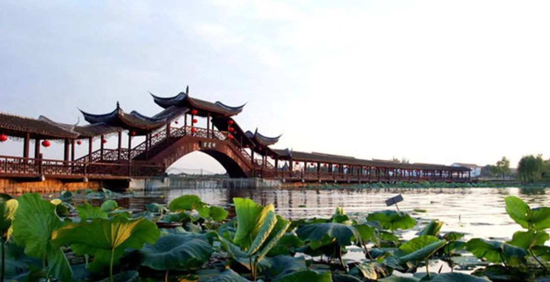 香港富硒八仙茶价格(富硒八仙茶介绍)-硒宝网