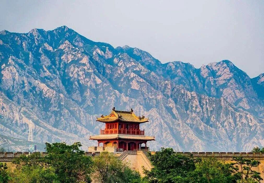 香港富硒八仙茶价格(富硒八仙茶介绍)-硒宝网