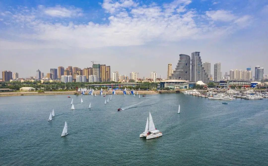 香港富硒八仙茶价格(富硒八仙茶介绍)-硒宝网