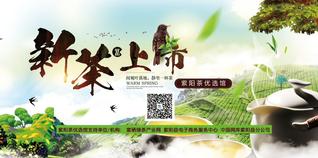 紫阳县哪里产富硒茶(紫阳富硒茶厂)-硒宝网