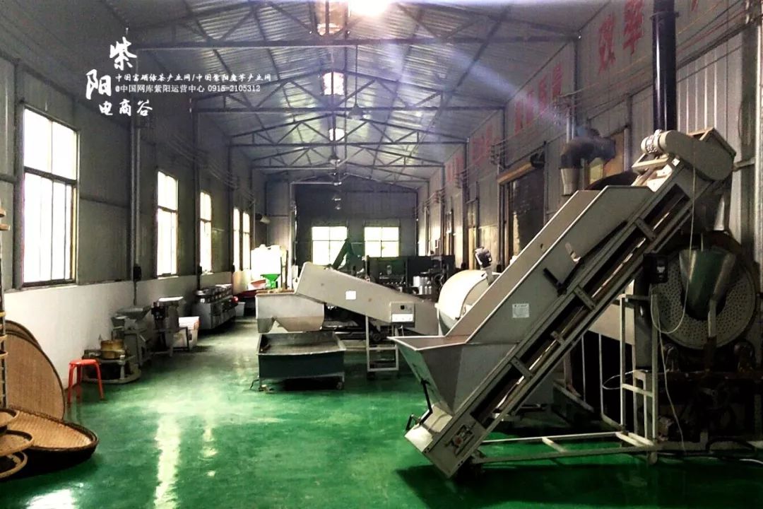 紫阳县哪里产富硒茶(紫阳富硒茶厂)-硒宝网