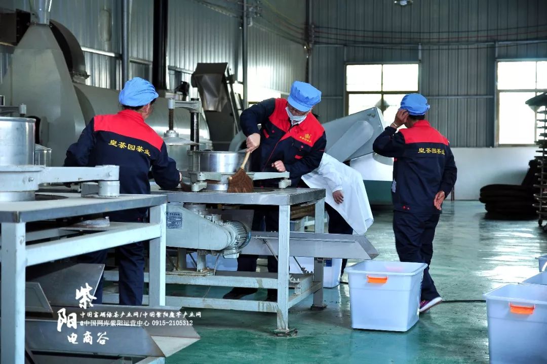 紫阳县哪里产富硒茶(紫阳富硒茶厂)-硒宝网