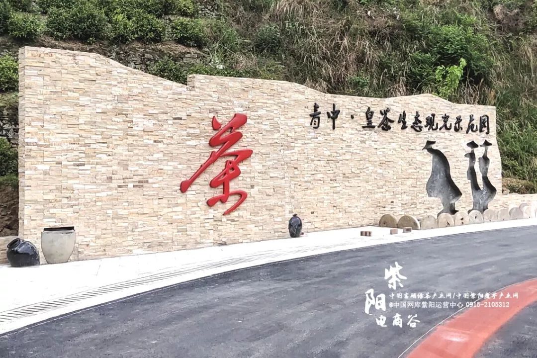 紫阳县哪里产富硒茶(紫阳富硒茶厂)-硒宝网