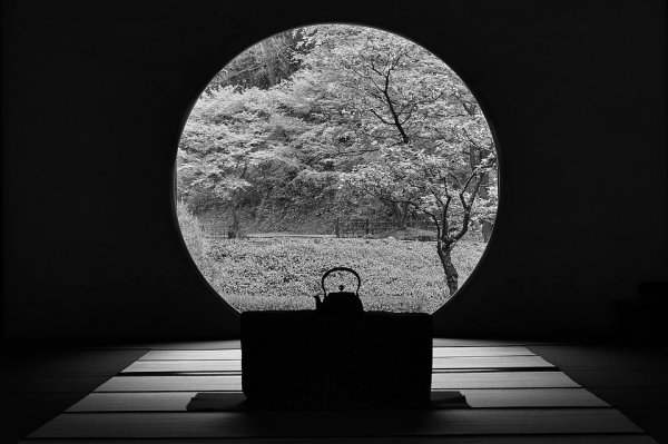 紫阳富硒老茶怎么样（富硒紫阳茶多少钱一斤）-硒宝网