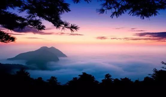 南宫山富硒茶一山水（南宫山富硒茶是绿茶吗）-硒宝网