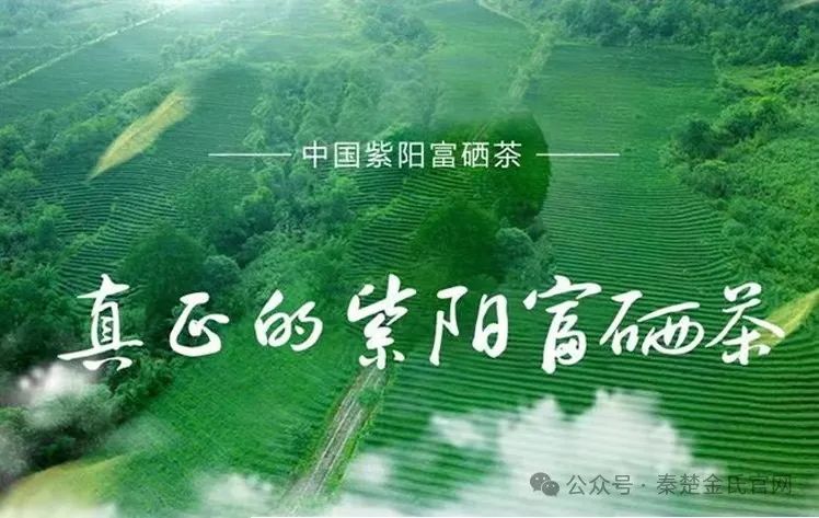 紫阳文化遗产富硒茶（紫阳茶富硒饮品价格）-硒宝网