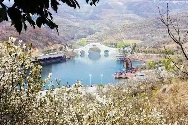 紫阳富硒制茶全过程（紫阳富硒茶的制作过程）-硒宝网