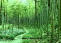 达州特产万源富硒茶（万源富硒茶厂及电话）-硒宝网