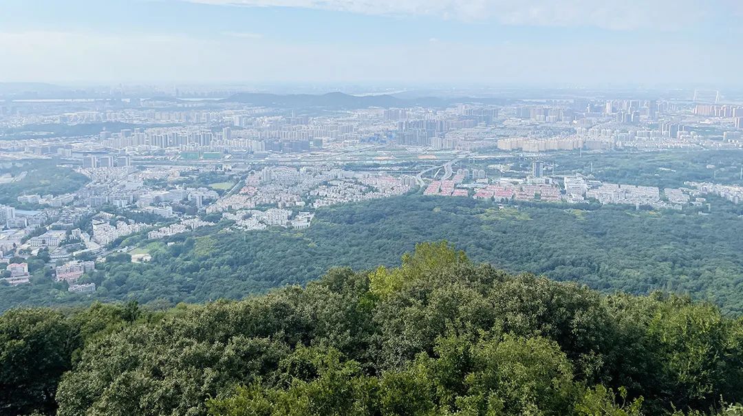 恩施富硒茶品牌价值（恩施富硒茶硒含量）-硒宝网