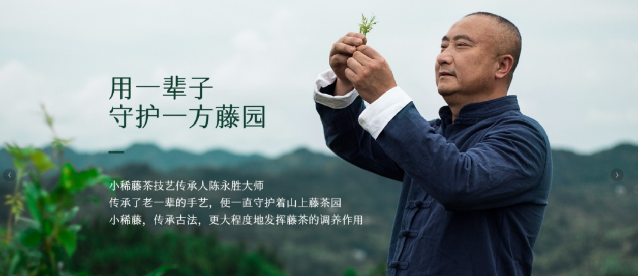 小稀藤来凤富硒藤茶（藤茶来凤）-硒宝网