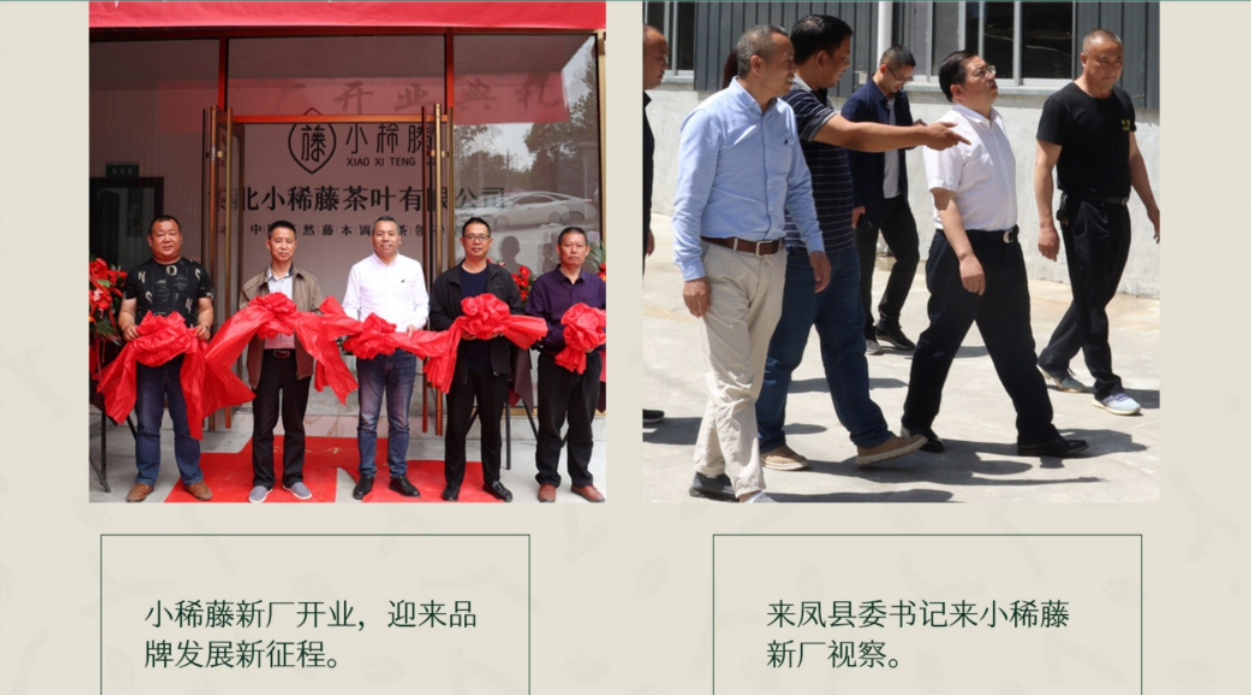 小稀藤来凤富硒藤茶（藤茶来凤）-硒宝网