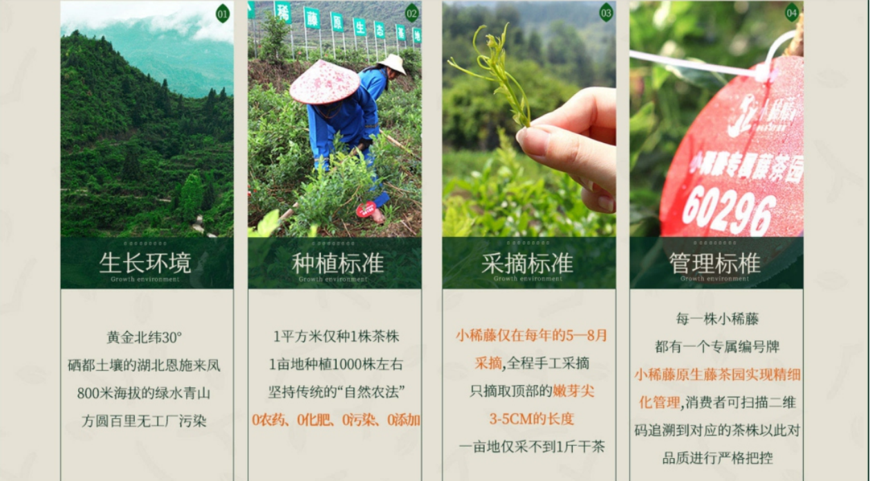 小稀藤来凤富硒藤茶（藤茶来凤）-硒宝网