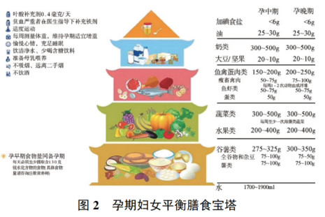 哺乳期补铁吃什么药(哺乳药期吃补铁的可以吗)-硒宝网