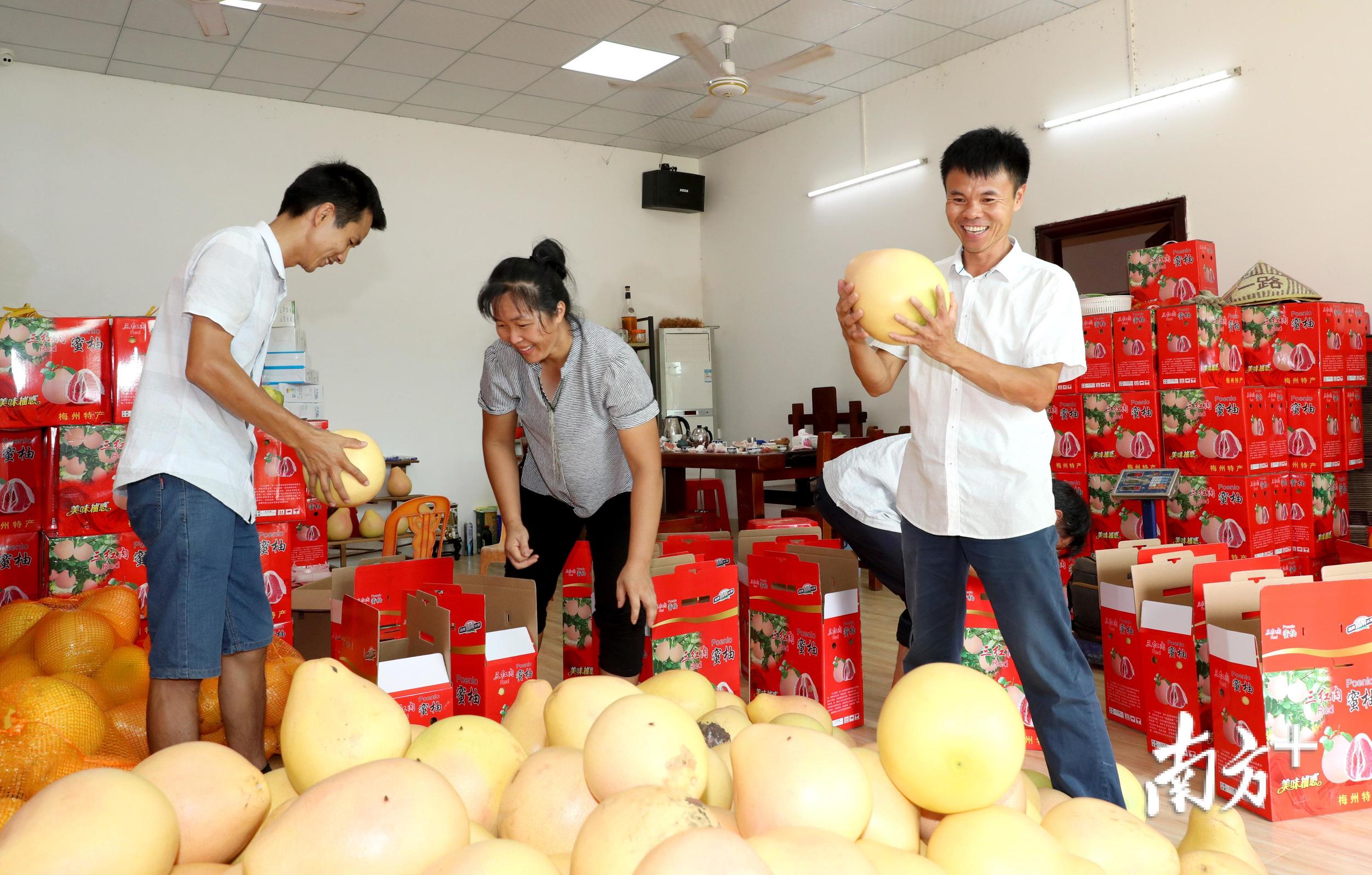 富硒茶顺口溜怎么写(富硒茶广告)-硒宝网