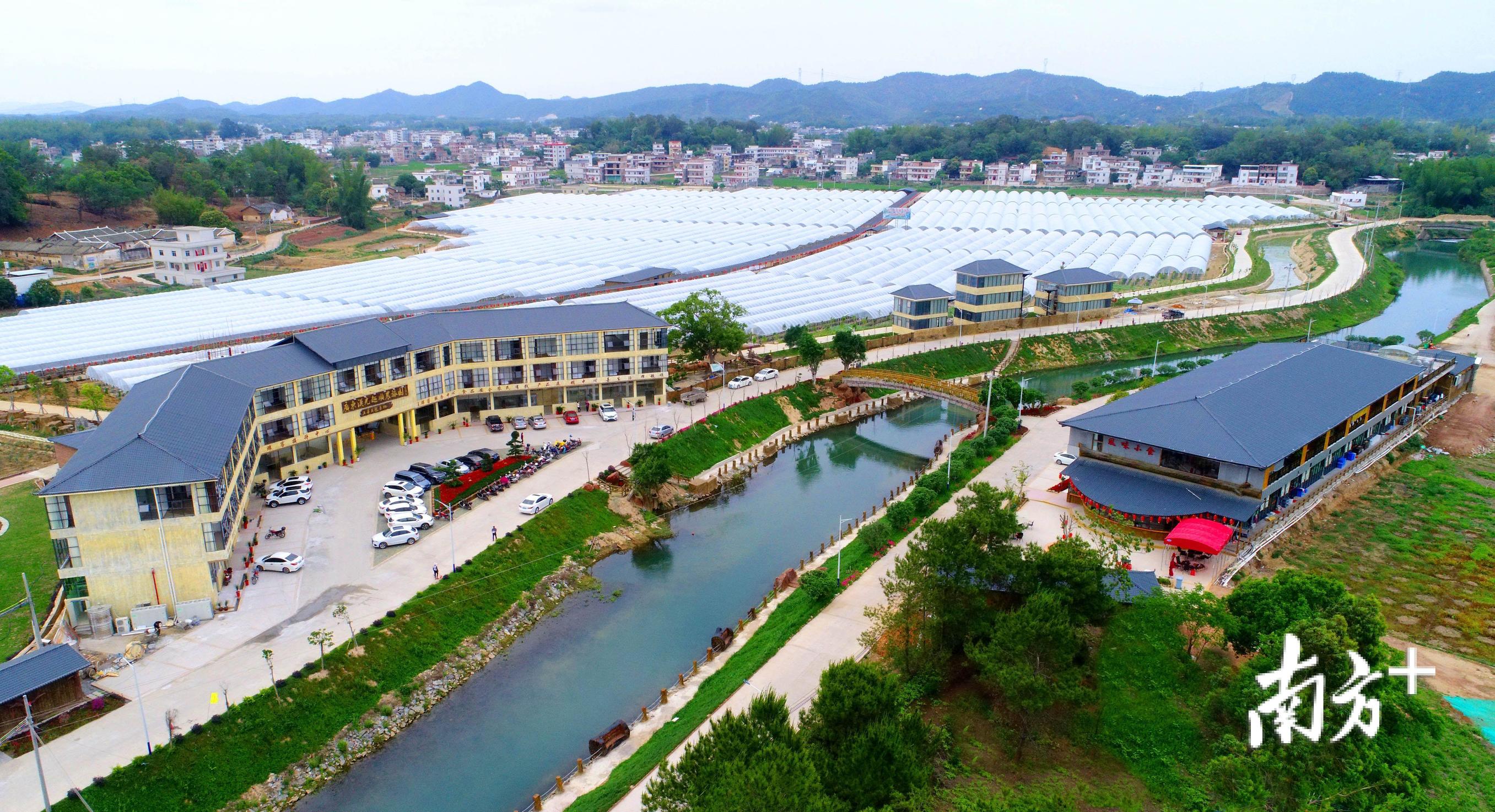 富硒茶顺口溜怎么写(富硒茶广告)-硒宝网