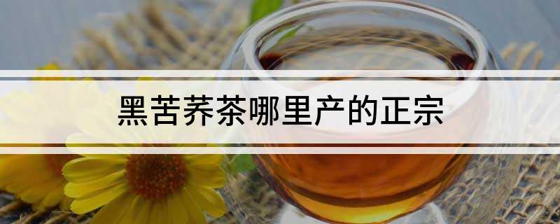 哪里卖富硒黑苦荞茶(茶卖黑苦荞富硒含量多少)-硒宝网