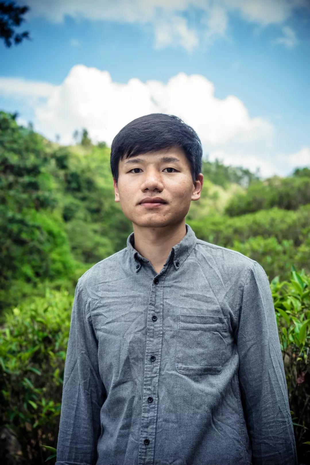 九重雾 富硒茶价格（雾茶价格富硒多少钱）-硒宝网