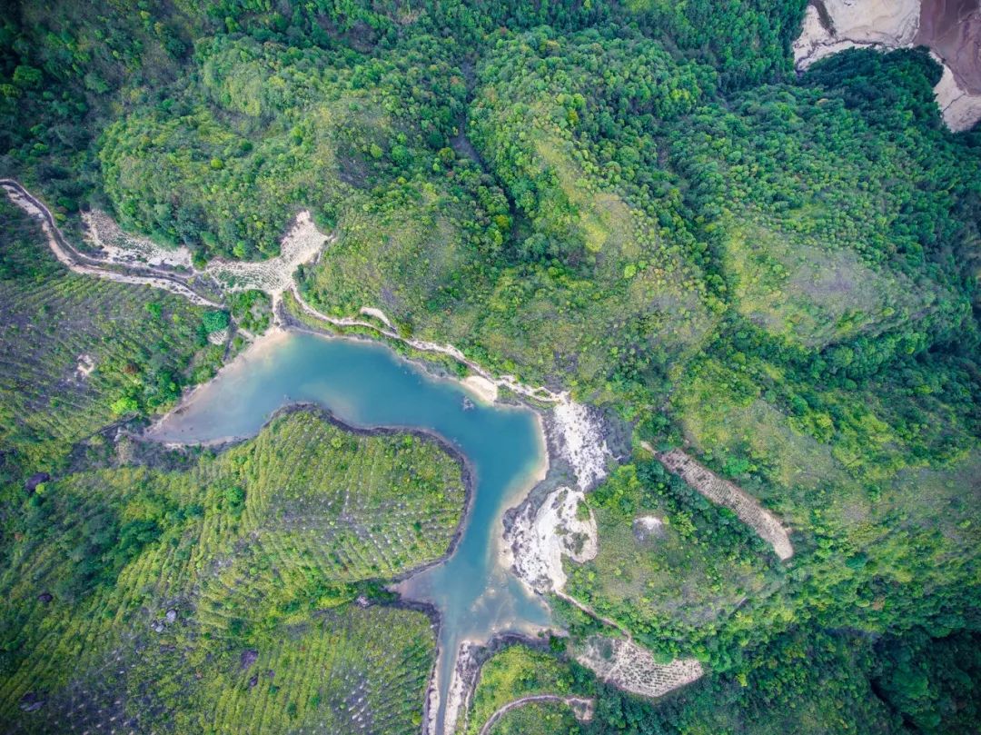 九重雾 富硒茶价格（雾茶价格富硒多少钱）-硒宝网