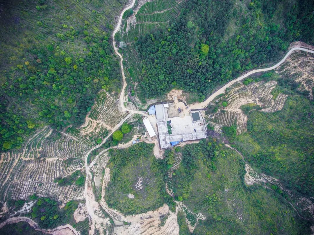 九重雾 富硒茶价格（雾茶价格富硒多少钱）-硒宝网