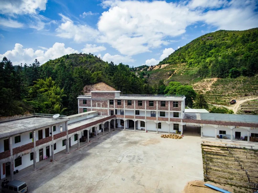 九重雾 富硒茶价格（雾茶价格富硒多少钱）-硒宝网