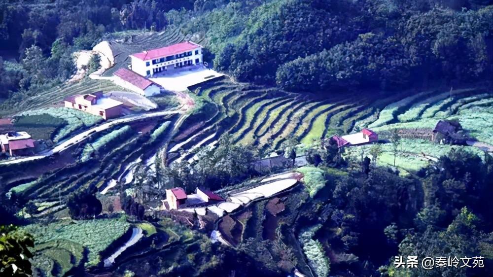 富硒茶顺口溜怎么写(富硒茶诗句)-硒宝网