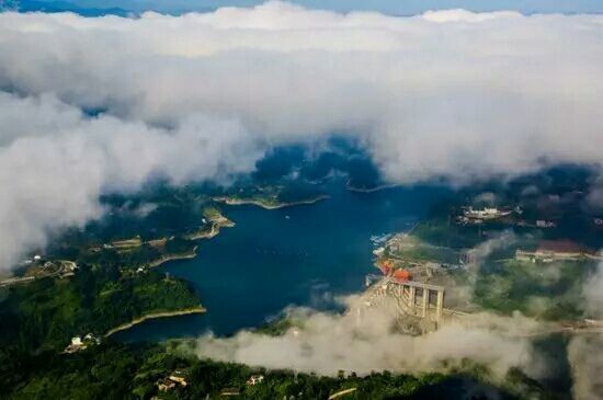 在水一方西安富硒茶（陕西富硒茶的功效与作用）-硒宝网
