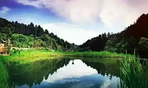 在水一方西安富硒茶（陕西富硒茶的功效与作用）-硒宝网