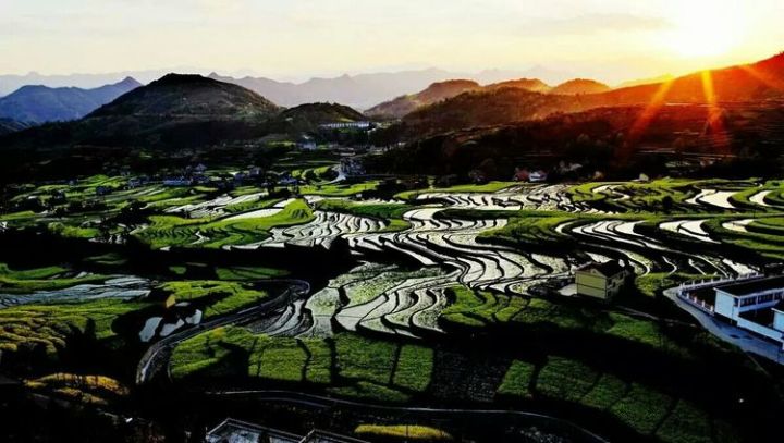 在水一方西安富硒茶（陕西富硒茶的功效与作用）-硒宝网