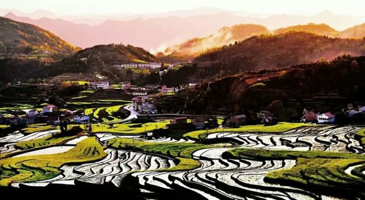 在水一方西安富硒茶（陕西富硒茶的功效与作用）-硒宝网