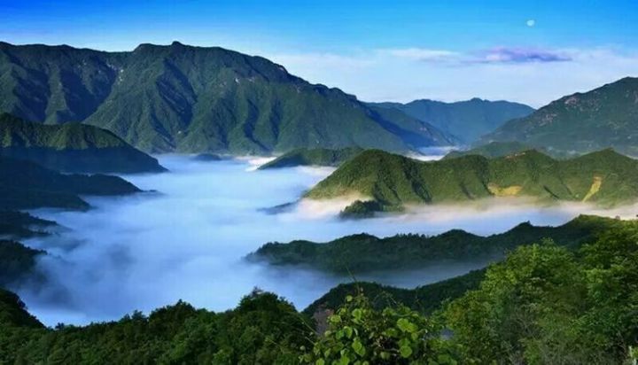 在水一方西安富硒茶（陕西富硒茶的功效与作用）-硒宝网