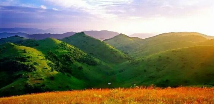 在水一方西安富硒茶（陕西富硒茶的功效与作用）-硒宝网