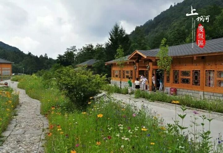 在水一方西安富硒茶（陕西富硒茶的功效与作用）-硒宝网