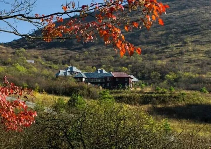 在水一方西安富硒茶（陕西富硒茶的功效与作用）-硒宝网