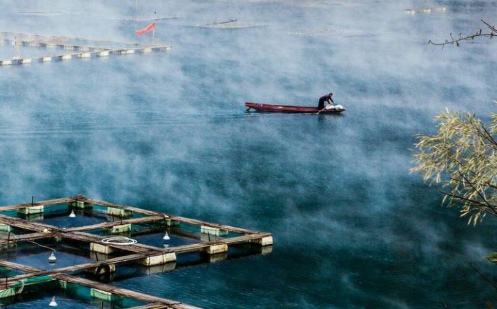 在水一方西安富硒茶（陕西富硒茶的功效与作用）-硒宝网