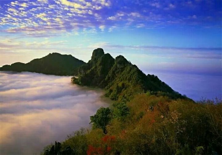 在水一方西安富硒茶（陕西富硒茶的功效与作用）-硒宝网