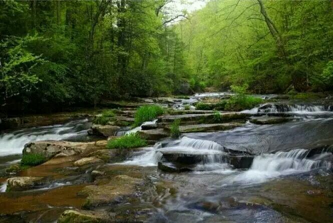 在水一方西安富硒茶（陕西富硒茶的功效与作用）-硒宝网