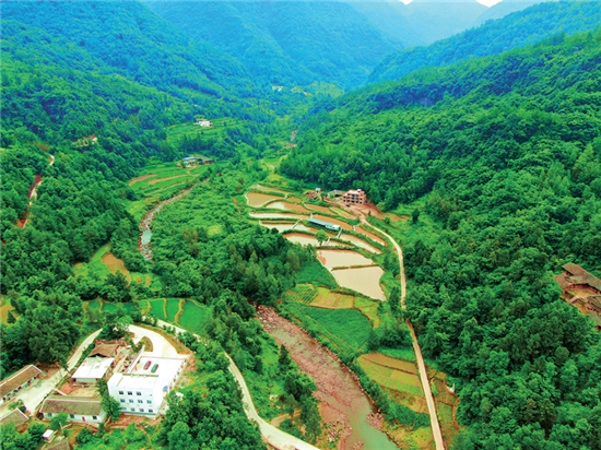 富硒茶顺口溜怎么写(富硒茶宣传语)-硒宝网