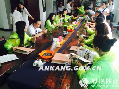 蒿坪镇富硒茶观光园（开阳富硒茶园）-硒宝网