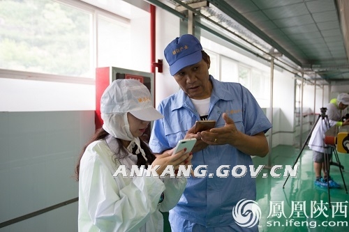 蒿坪镇富硒茶观光园（开阳富硒茶园）-硒宝网