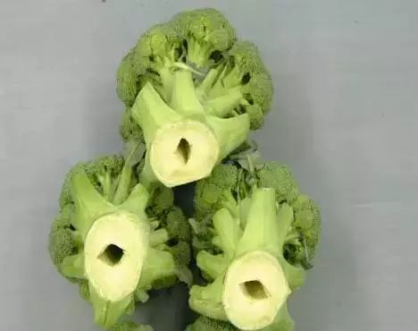 微量元素是什么意思(微量元素定义)-硒宝网