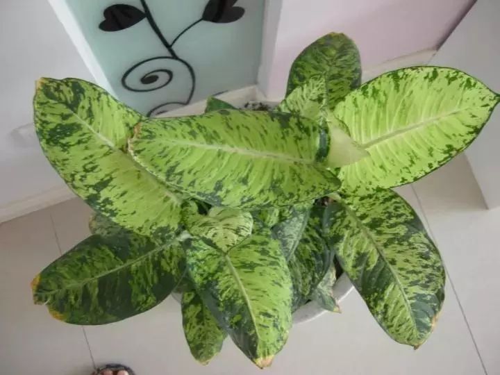 微量元素是什么意思(微量元素定义)-硒宝网