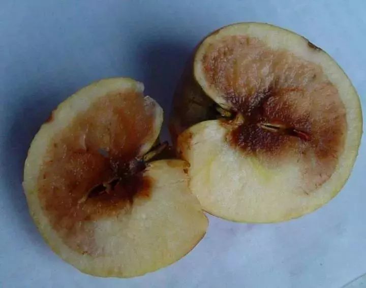 微量元素是什么意思(微量元素定义)-硒宝网