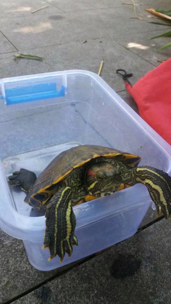 为什么说晒太阳补钙(关于晒太阳补钙的说说短句)-硒宝网