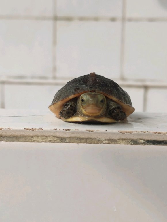 为什么说晒太阳补钙(关于晒太阳补钙的说说短句)-硒宝网