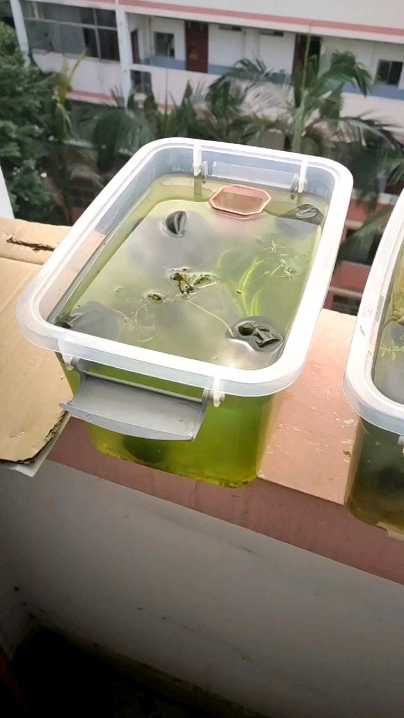 为什么说晒太阳补钙(关于晒太阳补钙的说说短句)-硒宝网