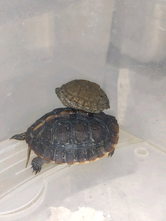 为什么说晒太阳补钙(关于晒太阳补钙的说说短句)-硒宝网