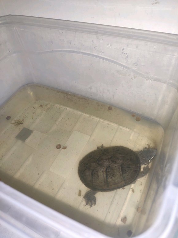 为什么说晒太阳补钙(关于晒太阳补钙的说说短句)-硒宝网