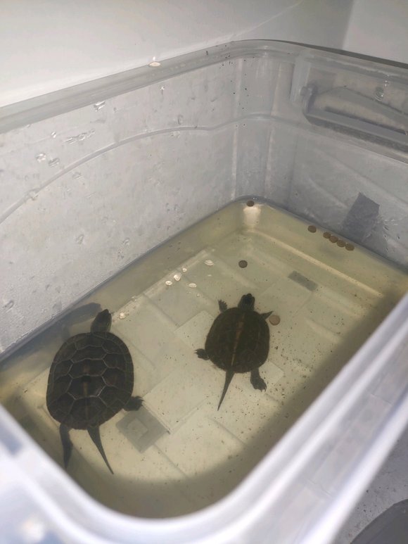 为什么说晒太阳补钙(关于晒太阳补钙的说说短句)-硒宝网